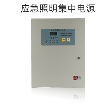 泰和安TS-D-0.15KVA-6315A应急照明集中电源